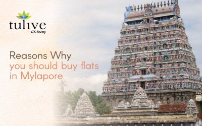 10 Reasons Why You Should Buy Flats in Mylapore